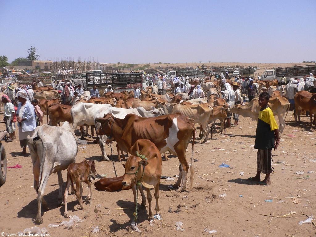 alabama livestock auction reports