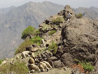 yemen.2007/menakha.3.small.jpg