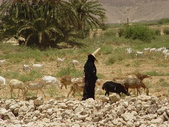 yemen.2007/woman.with.head.small.jpg